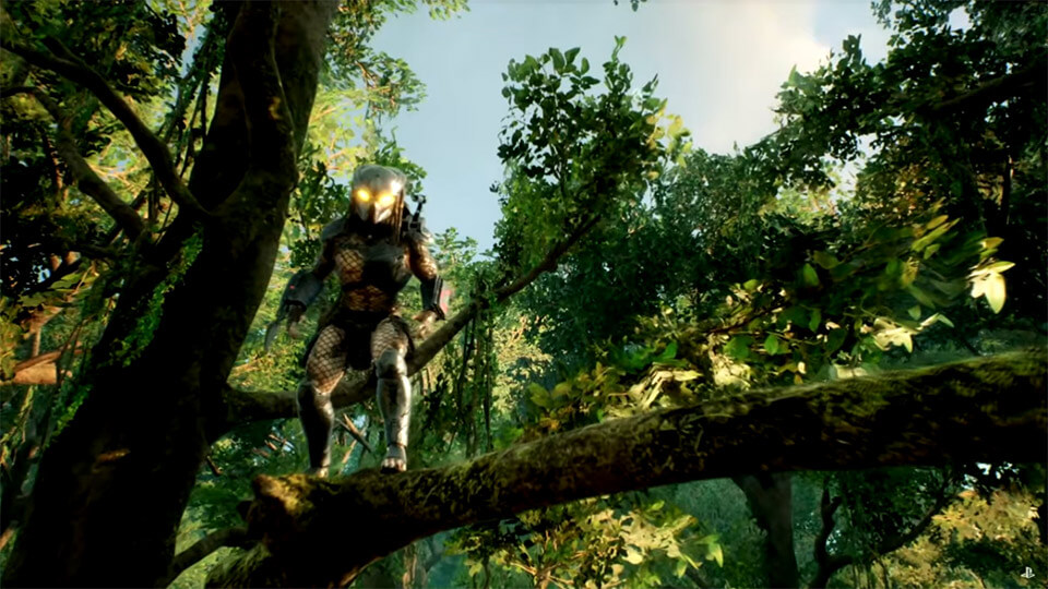 Predator Hunting Grounds data vyhoda
