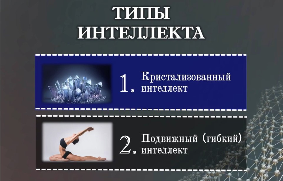 Tipy intellekta