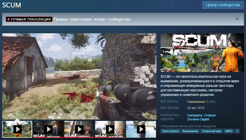 Страница в Steam