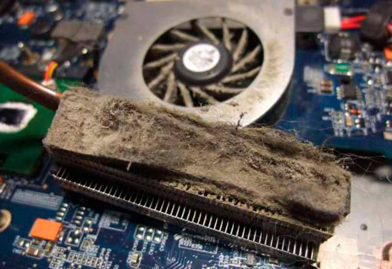 Otkuda berjotsja pyl v noutbuke