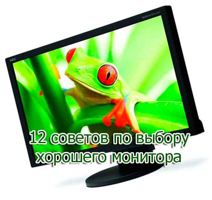 12 советов, как выбрать монитор