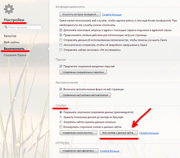Как удалить cookies браузера самостоятельно