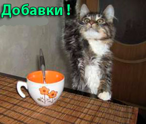 Программы для ноутбука совершенно бесплатно
